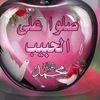 user8607125541061