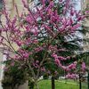 _yasemin034