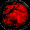 user5319118650810