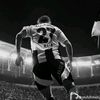 rafarejm_4549