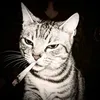 userwhatelselol