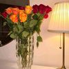 user119802580396