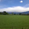 ur_fav_newzealand