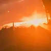 urlocalspazz14