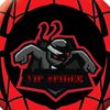 vip.spider.clan