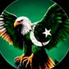 mirza.rahman61