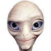 user17660791811903