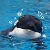 cean_lover84