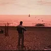 testiculosdeaguila