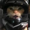 🏍️-Walther-🏍️