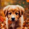 puppylover_20