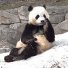 bi.thanh.an560