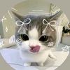 shahd95317