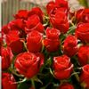 mehadi.hasan836