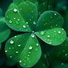user1626102466071