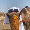 salimsaib2