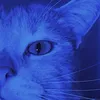milkiss_paw.w