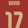 davi_17shhid