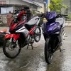 projectlcv1_x_mx135