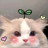 ziluttt_150713