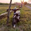 alfa2strok