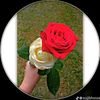 md.dulal4807