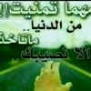 user7995811316149