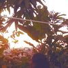 happylifewithoutyou2