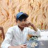 ali333536