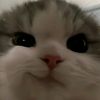 ngehhhhhhhhhhh