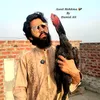 اصیل محکمہ🐓