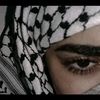user453600816123