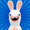 rabbiids1