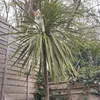 freya.w95