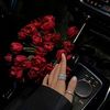 kholod.taif1