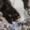 lizz126_3