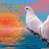 user53756141380221