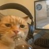 thomasthetankengi16