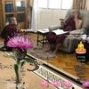 dhammapeace6