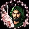zz_zalnab