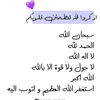 x.bil8