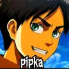 pipka487