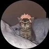 4rmetks_