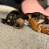 charlie_091009