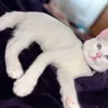 kami.kamy47