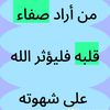 ahmed.elmofty3