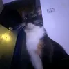 blobskinski