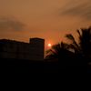 el_24_yz