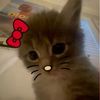 user130810522356