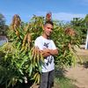 el.locuras90